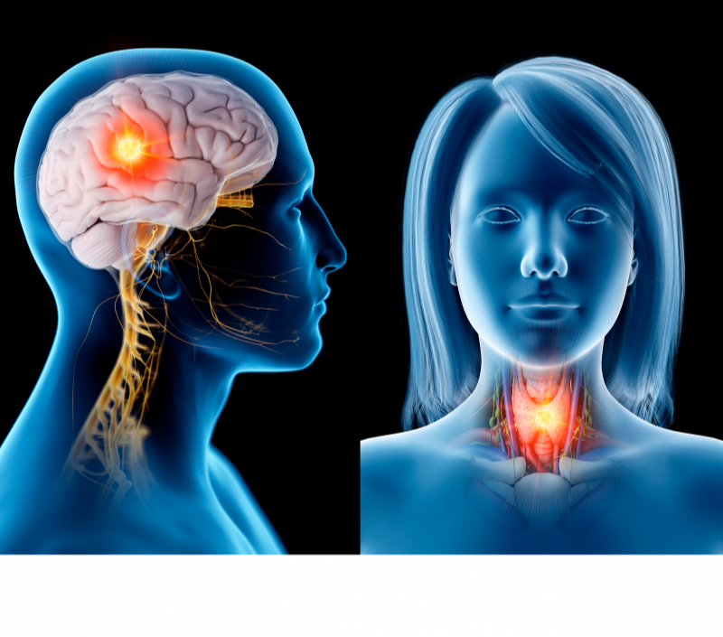 Exploring the link between HPV infection and head and neck cancers